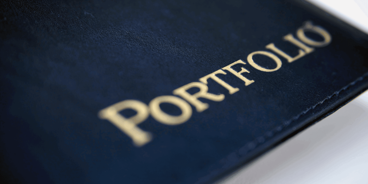 Optimisation of a Portfolio of Established Brands